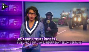 Les agriculteurs, déçus, quittent Paris