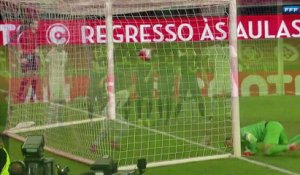 But de Valbuena contre le Portugal (1-0)