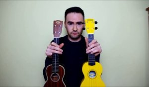 Man compares $20 and $1000 Ukuleles... They're the same!