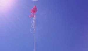 Un ballon météo envoyé dans la stratosphère retrouvé 2 ans plus tard avec sa GoPro - Images du Grand Canyon