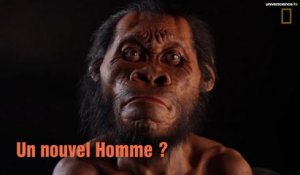 Homo naledi, le nouvel hominidé