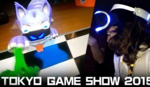TGS 2015 : Impressions The PlayRoom VR