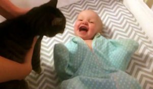 Un bébé trop heureux de voir un chat pour la première fois