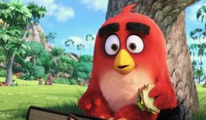 Bande-annonce : Angry Birds - VO