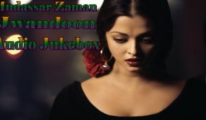 Mudassar Zaman | " Jwandoon" | Audio Jukebox
