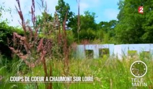 Jardin - Coups de cœur à Chaumont sur Loire - 2015/09/30