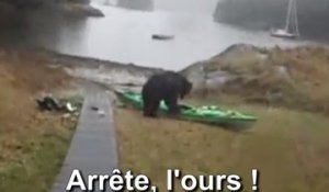 Les internautes auraient préféré que l'ours dévore cette kayakiste