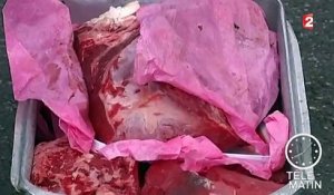 Un trafic de viande de cheval avariée démantelé dans le sud de la France