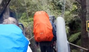 Un pont suspendu s'effondre en Nouvelle-Zélande