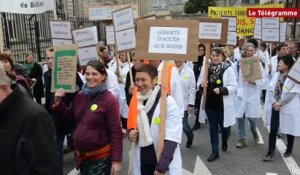 Vannes. Domaine de Prières de Billiers : 150 manifestants pour l'emploi