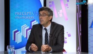 Pierre-Jean Benghozi, Xerfi Canal Nouveaux modèles d’affaires et intelligence iconomique