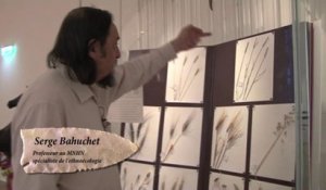 Au musée de l'homme, Serge Bahuchet évoque la domestication des plantes
