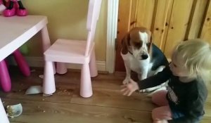 Cette chienne a cassé son bol de céréale... La réaction de cet enfant est trop touchante.