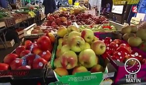 Un logo pour les fruits et légumes français