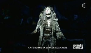 Cats: Quand Broadway s'invite à Paris - Entrée libre