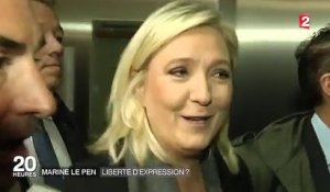Procès de Marine Le Pen : le procureur demande la relaxe