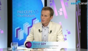 Hervé Goy, Xerfi Canal Universités : stratégies et compétition