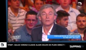 TPMP : la réponse cinglante de Gilles Verdez à Alain Delon ! "T’as jamais rien eu dans la pantalon"