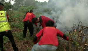 Les Indonésiens luttent contre les incendies qui asphyxient leur pays