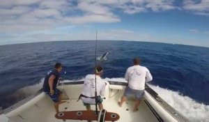 Un pêcheur chanceux évite de peu de se faire embrocher par un marlin