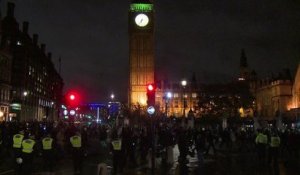 Londres: marche anti-capitaliste des "millions de masques"