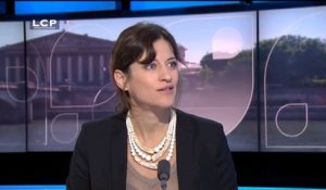 Méadel (porte-parole PS) : "Le Front national c'est un vote de destruction"