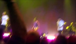 Shy'm se ramasse en se jetant dans le public - Concert Bercy 2015