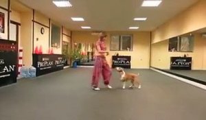Un chien danse avec sa maitresse. Chorégraphie millimétrée