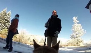 Leur chien a filmé leur mariage avec sa Go-Pro ! Le résultat est sensationnel !