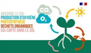 4 pour 1000, les sols agricoles pour la sécurité alimentaire et le climat