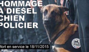 Attentats de Paris: hommage à Diesel, chien policier tué pendant l'assaut à Saint-Denis