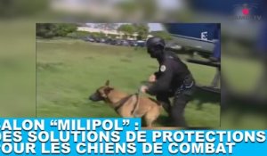 Salon "Milipol" : Des solutions de protections pour les chiens de combat. Découvrez les dans la minute chien #58