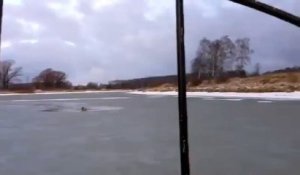 Un chien se cramponnant à un morceau de glace est secouru par des sauveteurs