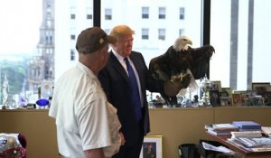 Un aigle attaque Donald Trump