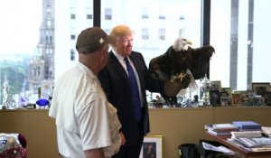 Donald Trump attaqué par un aigle