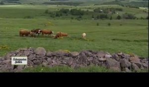 Ardèche - Echappées belles