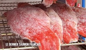 Marchés - Landes : le dernier saumon français - 2015/12/26