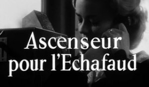 Elevator To The Gallows / Ascenseur pour l'échafaud (1958) - Trailer - subtitled in 9 languages