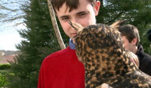 L'Académie Junior du Puy du Fou