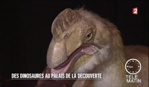 Visite guidée - Palais de la découverte : le retour des dinosaures - 2016/03/03