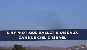 L'hypnotique ballet d'oiseaux dans le ciel d'Israël