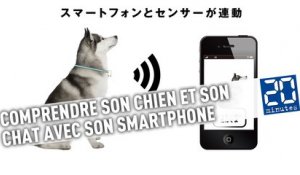 Comprendre son chien et son chat avec son smartphone : L'invention qui vient du Japon
