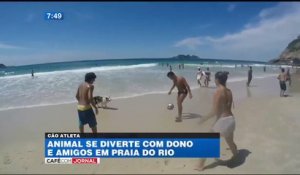 Un chien jongleur incroyable sur une plage brésilienne !