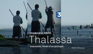 L'Indonésie, l'éveil d'un archipel - Bande-annonce Thalassa