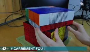 Zapping Télé du 26 janvier 2016 - Un Rubik's Cube à 484 cases par face !