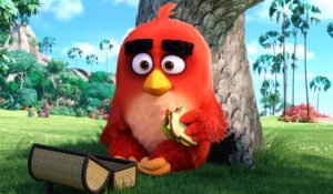 THE ANGRY BIRDS MOVIE - Official Theatrical Trailer (HD) [HD, 720p]