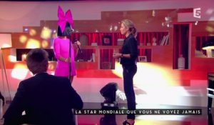 L'interview exclusive de Sia - C à vous - 28/01/2016