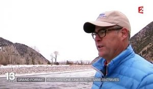 États-Unis : Yellowstone river, dernière rivière libre du pays, menacée par un projet de barrage