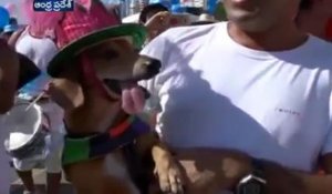 Carnaval canin à Copacabana au Brésil