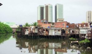 Virus Zika: la vulnérabilité des femmes enceintes dans les bidonvilles brésiliens